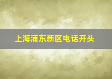 上海浦东新区电话开头