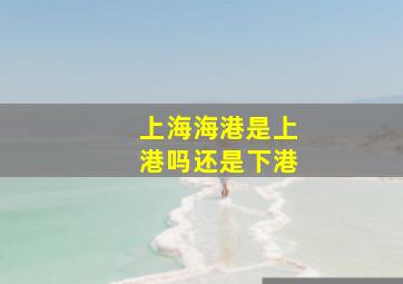 上海海港是上港吗还是下港