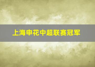 上海申花中超联赛冠军