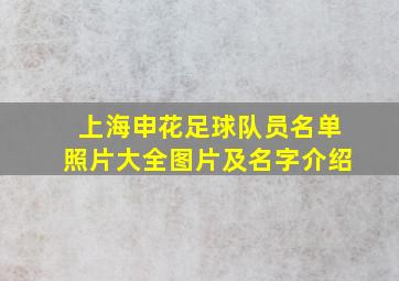 上海申花足球队员名单照片大全图片及名字介绍