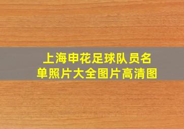 上海申花足球队员名单照片大全图片高清图