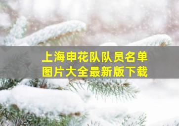 上海申花队队员名单图片大全最新版下载