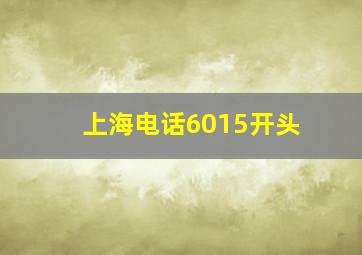 上海电话6015开头