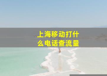 上海移动打什么电话查流量