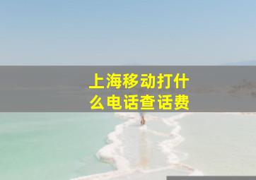 上海移动打什么电话查话费