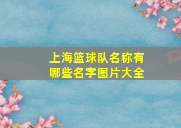 上海篮球队名称有哪些名字图片大全