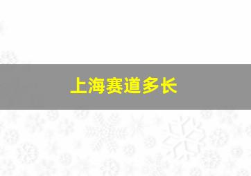 上海赛道多长