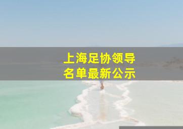 上海足协领导名单最新公示