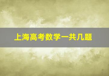 上海高考数学一共几题