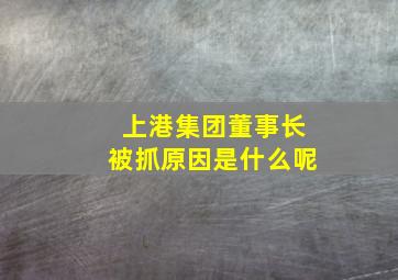 上港集团董事长被抓原因是什么呢