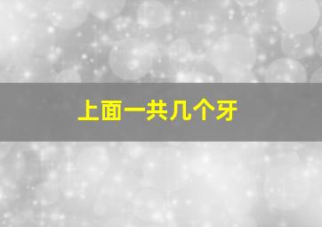 上面一共几个牙