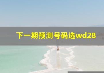 下一期预测号码选wd28