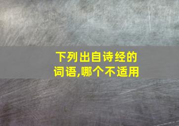 下列出自诗经的词语,哪个不适用