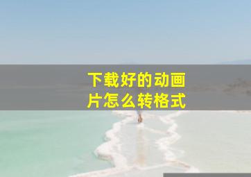 下载好的动画片怎么转格式