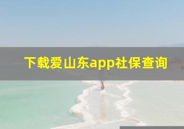 下载爱山东app社保查询