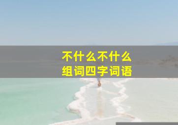 不什么不什么组词四字词语