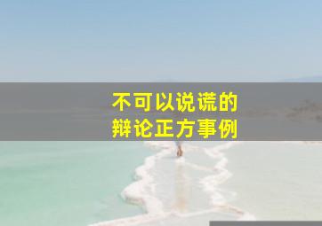 不可以说谎的辩论正方事例