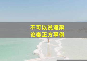 不可以说谎辩论赛正方事例