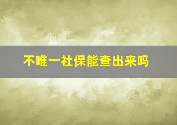 不唯一社保能查出来吗