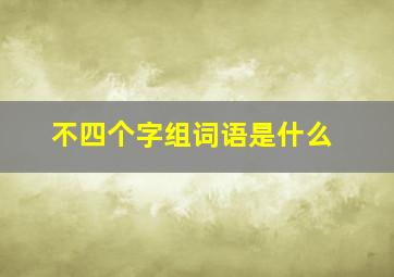 不四个字组词语是什么