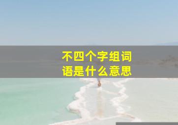 不四个字组词语是什么意思