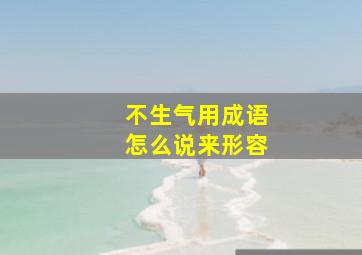 不生气用成语怎么说来形容