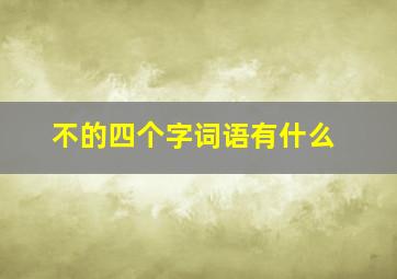 不的四个字词语有什么