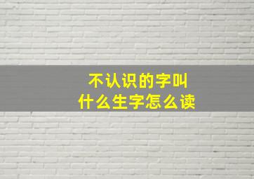 不认识的字叫什么生字怎么读