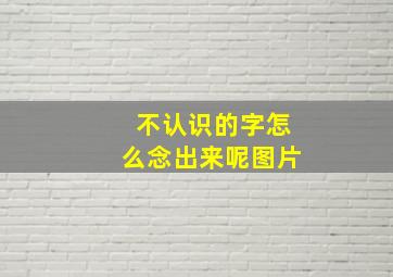 不认识的字怎么念出来呢图片