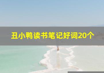 丑小鸭读书笔记好词20个