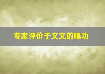 专家评价于文文的唱功