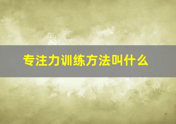 专注力训练方法叫什么