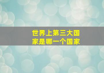 世界上第三大国家是哪一个国家