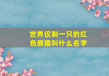 世界仅剩一只的红色熊猫叫什么名字