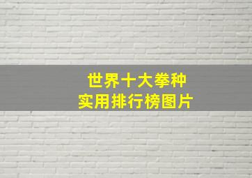 世界十大拳种实用排行榜图片