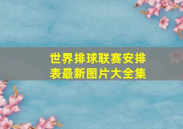 世界排球联赛安排表最新图片大全集