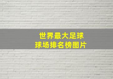 世界最大足球球场排名榜图片