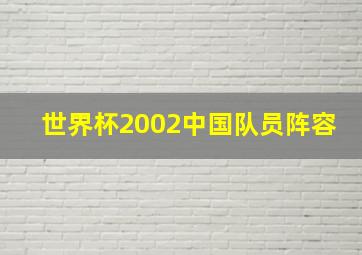 世界杯2002中国队员阵容