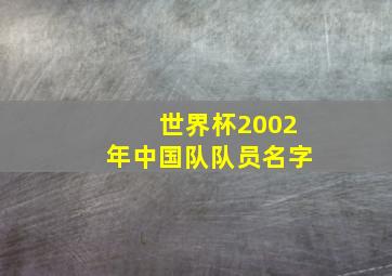 世界杯2002年中国队队员名字