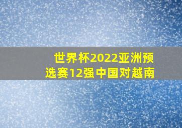 世界杯2022亚洲预选赛12强中国对越南