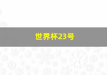 世界杯23号