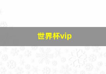 世界杯vip