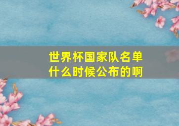 世界杯国家队名单什么时候公布的啊