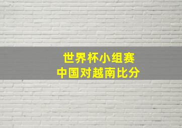 世界杯小组赛中国对越南比分