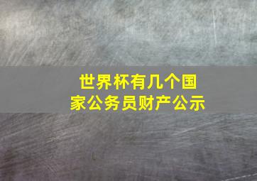 世界杯有几个国家公务员财产公示