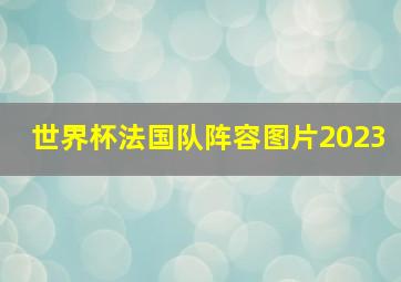 世界杯法国队阵容图片2023