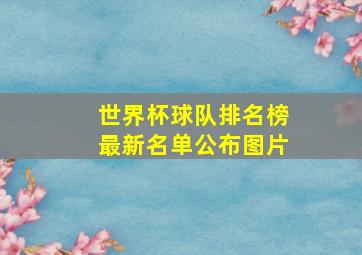 世界杯球队排名榜最新名单公布图片