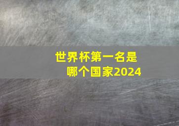 世界杯第一名是哪个国家2024