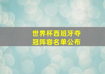 世界杯西班牙夺冠阵容名单公布