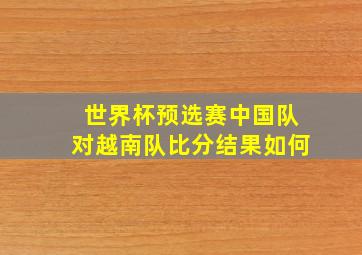 世界杯预选赛中国队对越南队比分结果如何